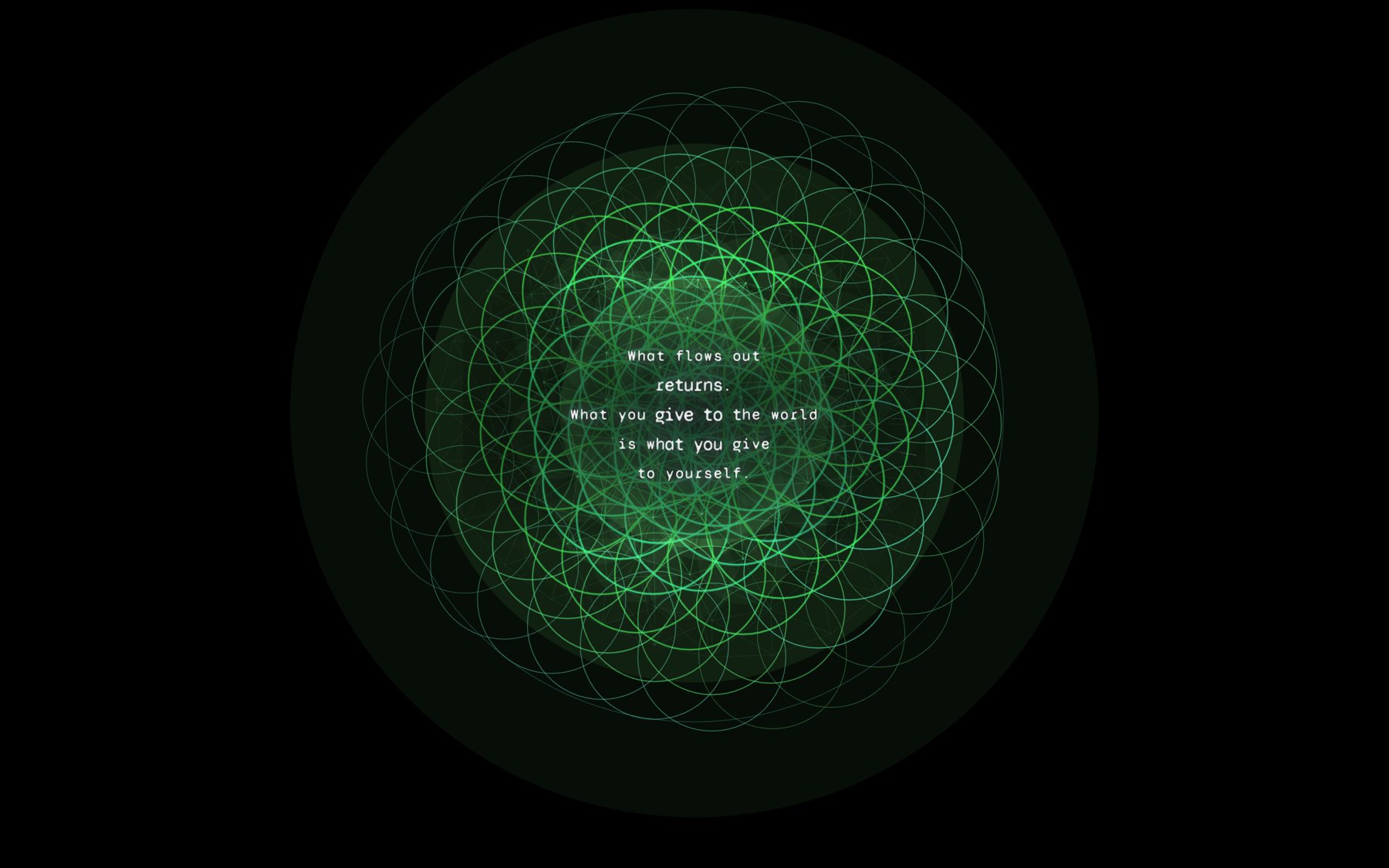 torus field