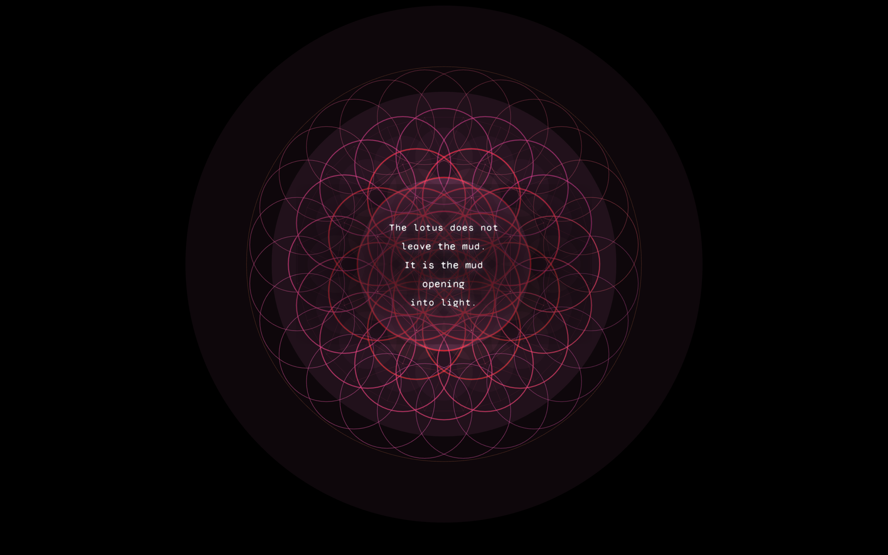 lotus mandala, the lotus does not leave the mud
